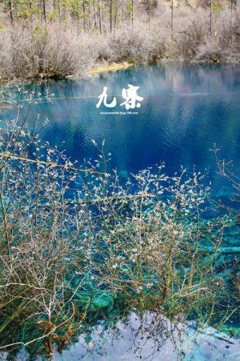 探索不为人知的《恰好是少年》宣布延播,延播的原因是什么?冷知识!