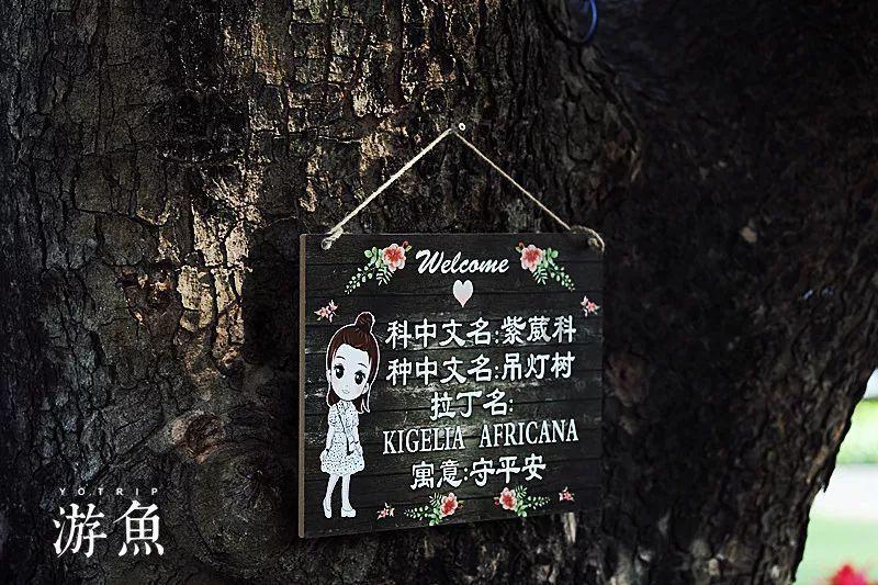 脑洞小老弟无实名认证